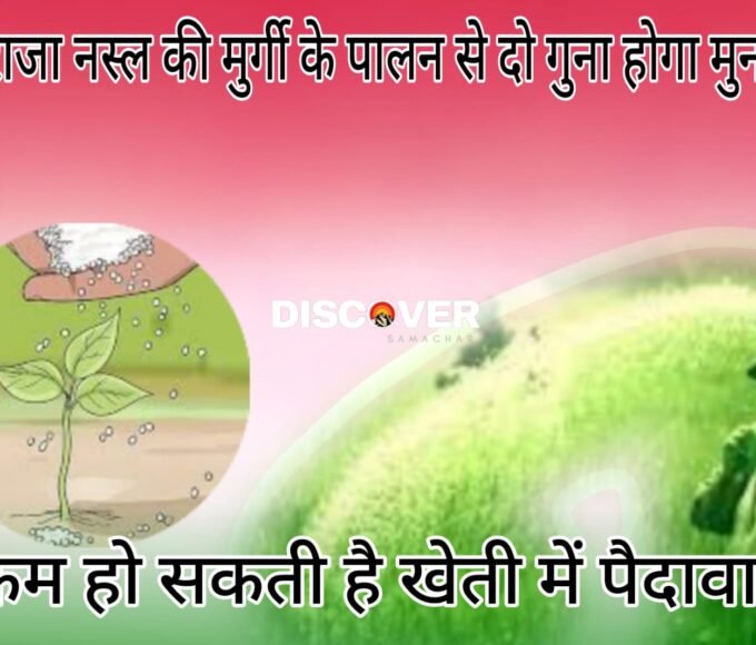 Fertilizer and Urea - Farmers should not use urea with this fertilizer even by mistake.