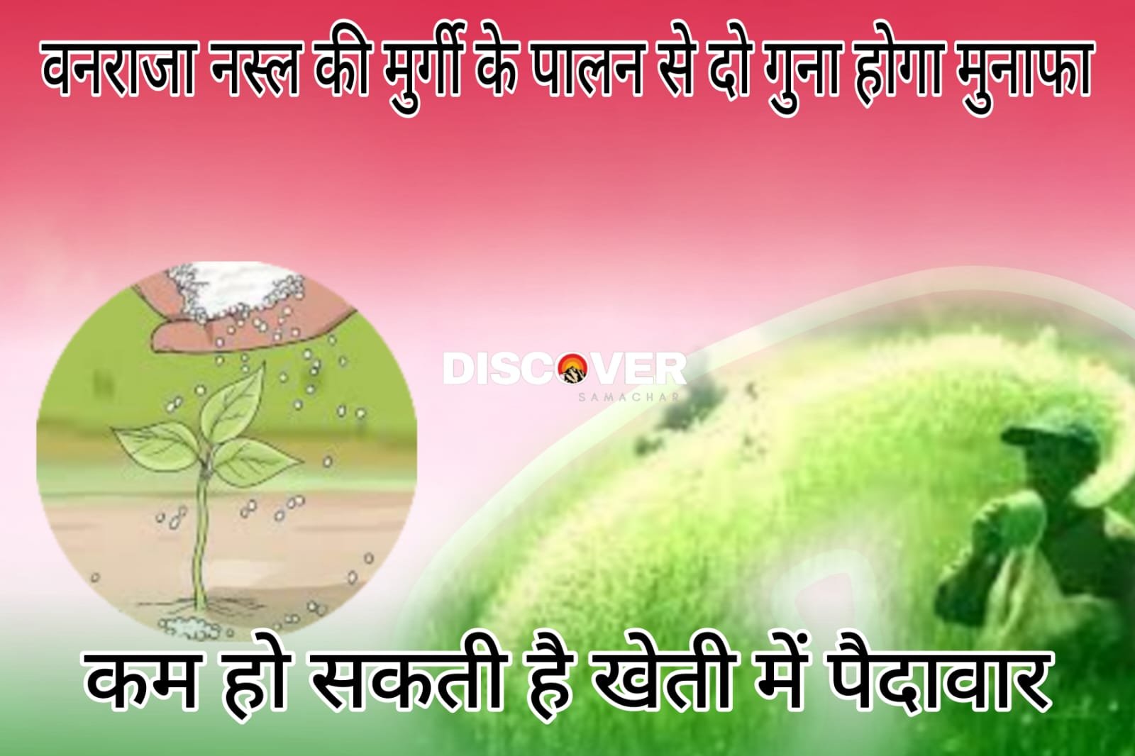 Fertilizer and Urea - Farmers should not use urea with this fertilizer even by mistake.