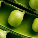 High Protein Food - Not chicken and eggs but this green vegetable is the real source of protein.