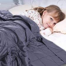 Electric Blanket :- सर्दियों के लिए सबसे अच्छा Electric Blanket जो देता है गर्मी , जानिए इस शानदार Blanket के बारे में