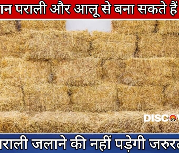 Kheti Kisani - Farmers can make fodder for their animals from stubble and potatoes.