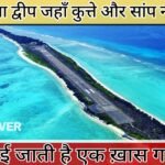 Lakshadweep Facts - An island where there are no dogs and snakes but a special cow is found