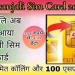 Patanjali Sim Card 2024 - Patanjali now brings indigenous SIM card