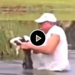 Magarmach Ka Video - Salute to the courage of the old man who saved the dog from the clutches of crocodile.
