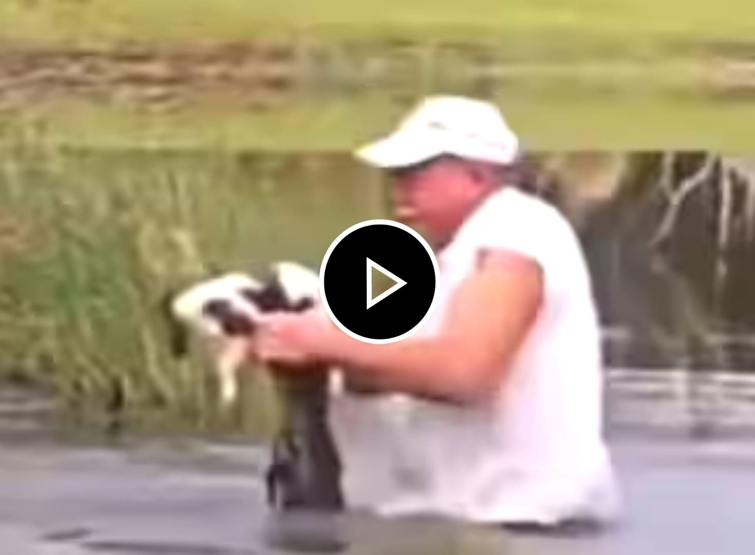 Magarmach Ka Video - Salute to the courage of the old man who saved the dog from the clutches of crocodile.