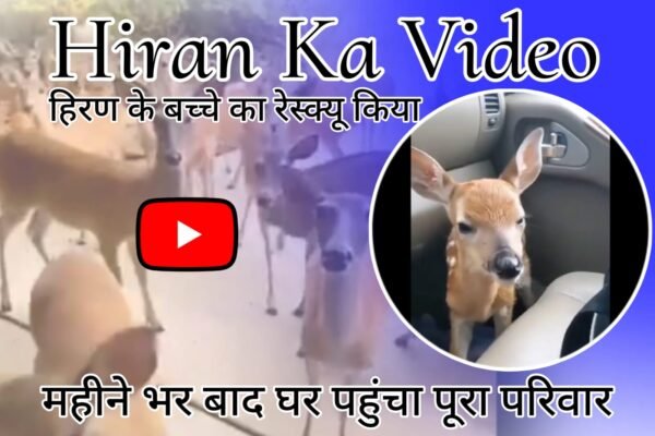 Hiran Ka Video - Man's generosity rescued deer baby, whole family reached home after a month