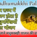 Madhumakkhi Palan - The food of bees is different in every state.