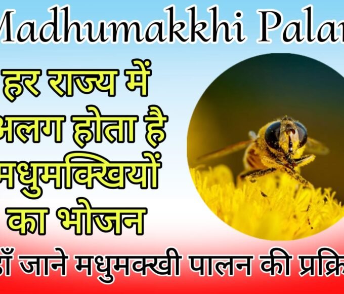 Madhumakkhi Palan - The food of bees is different in every state.