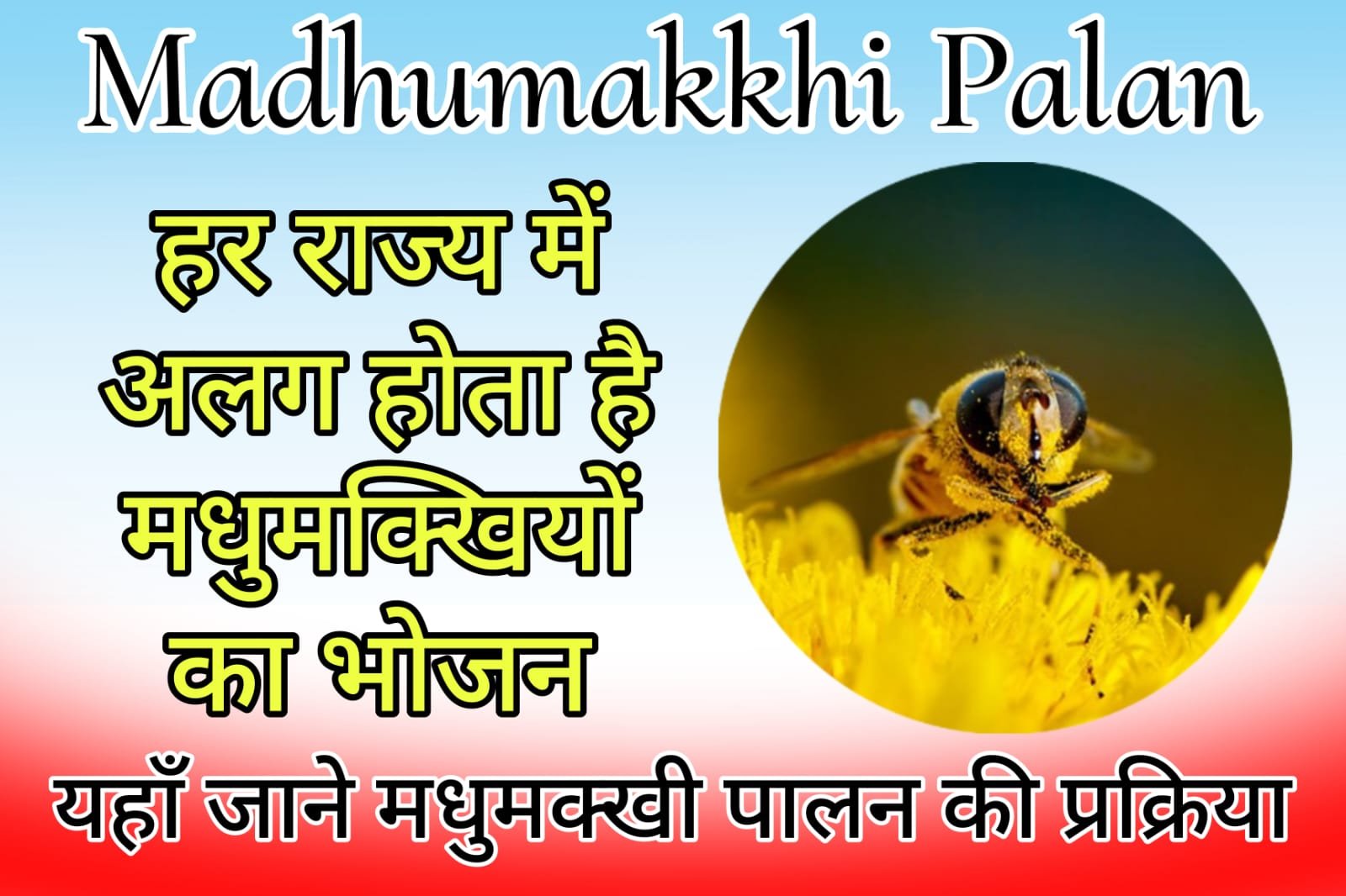 Madhumakkhi Palan - The food of bees is different in every state.