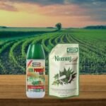 Kheti Kisani - Neem oil is most beneficial for keeping crops safe in the fields.