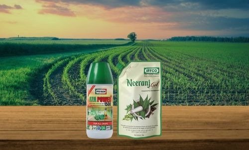 Kheti Kisani - Neem oil is most beneficial for keeping crops safe in the fields.