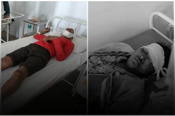 Road Accident Barasingha hits moving bike