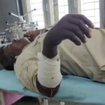 Betul News | Forest watchman attacked by wild boar