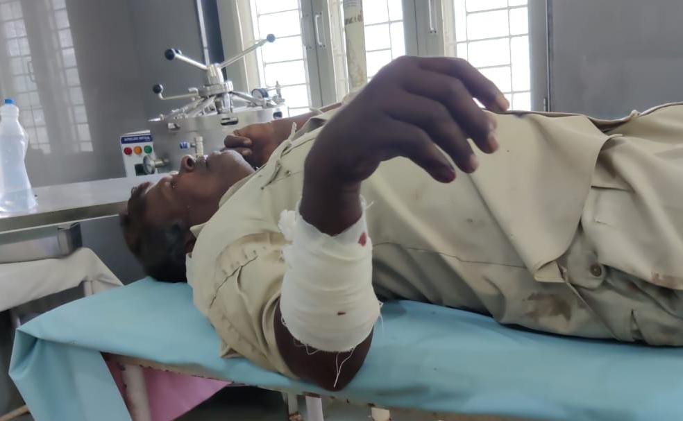 Betul News | Forest watchman attacked by wild boar