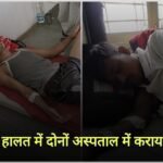 Betul News | Two youths injured in wild pig attack