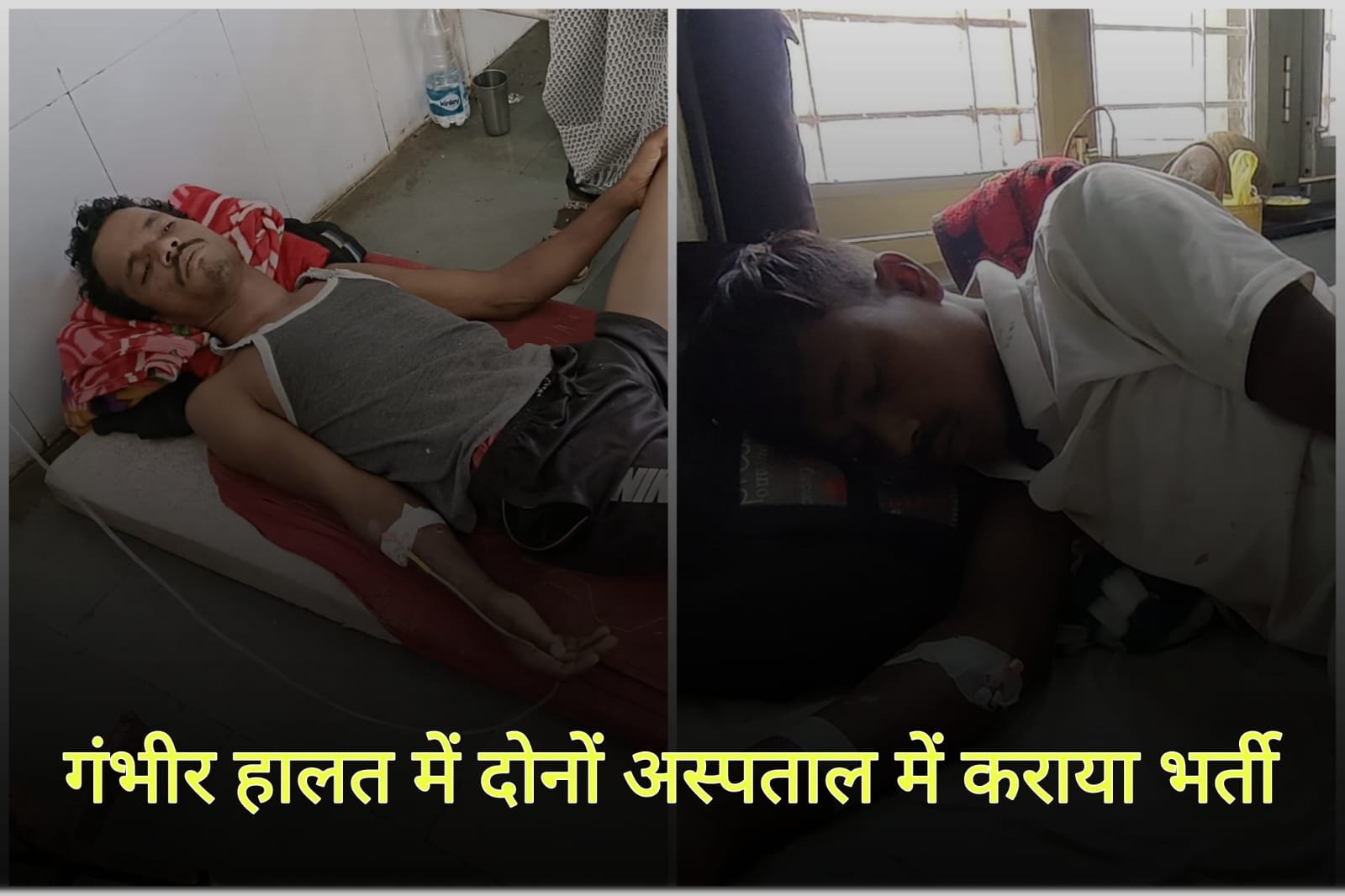 Betul News | Two youths injured in wild pig attack