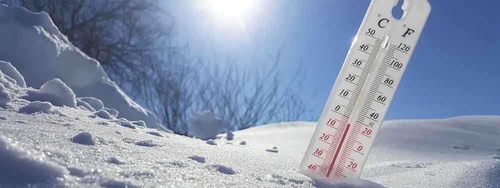 मध्यप्रदेश: 25 जनवरी