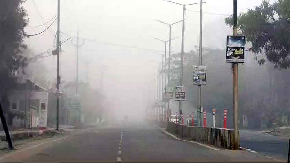 कोहरे के आगोश में