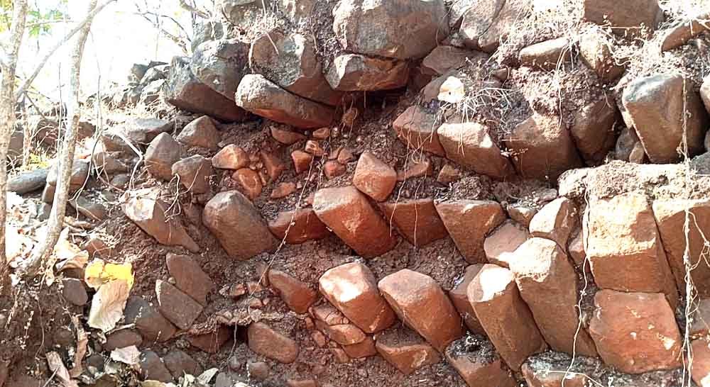 ताप्ती किनारे पहाड़ी से निकल रहे