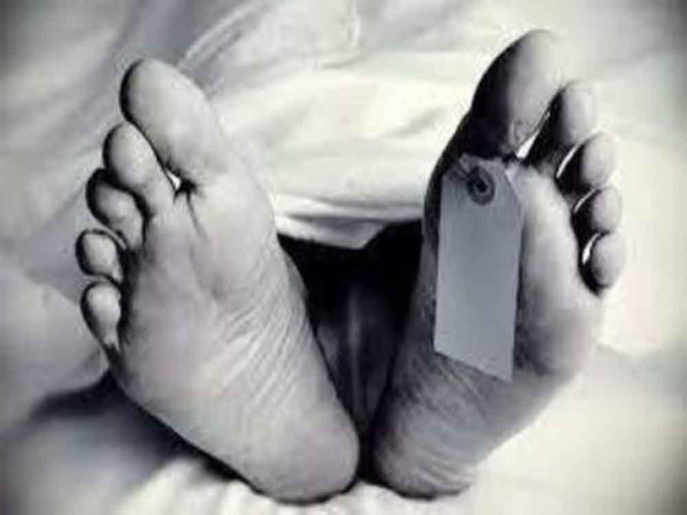 गन्ने की बाड़ी में