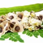 मोरिंगा के पत्तों के प्रमुख