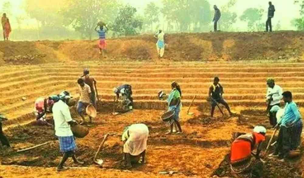 मध्यप्रदेश को इस बार मनरेगा के तहत