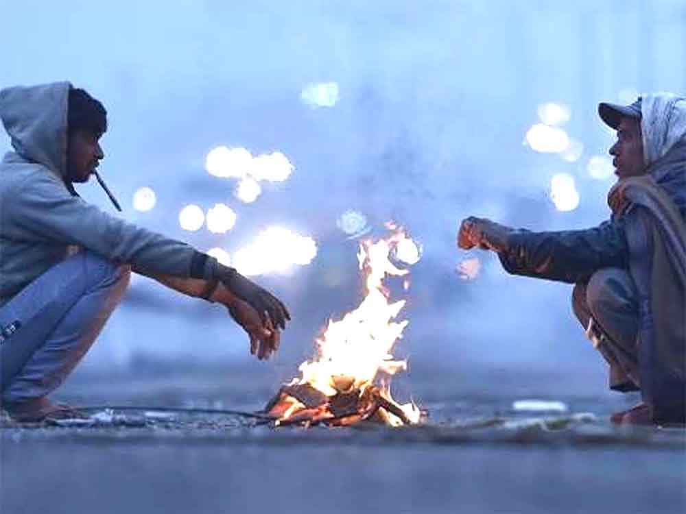 मध्यप्रदेश में शीतलहर का कहर: 14 जिलों