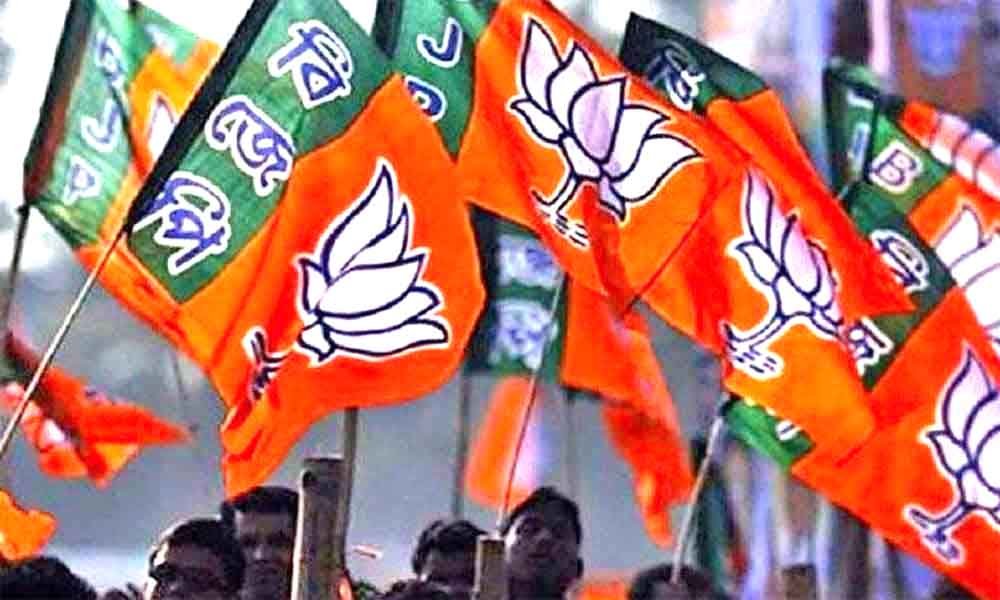 मध्य प्रदेश में भाजपा संगठन चुनाव: