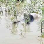 दो दिन से लापता मजदूर का सांपना