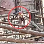 प्लांट हादसा: 4 मजदूरों की मौत,