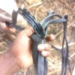 चोरों ने खेतों को बनाया निशाना,