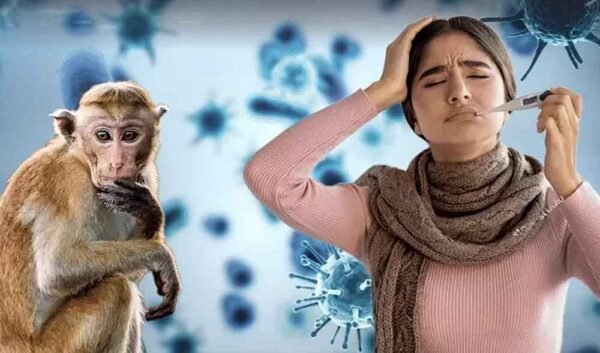 फैल रहा मंकी