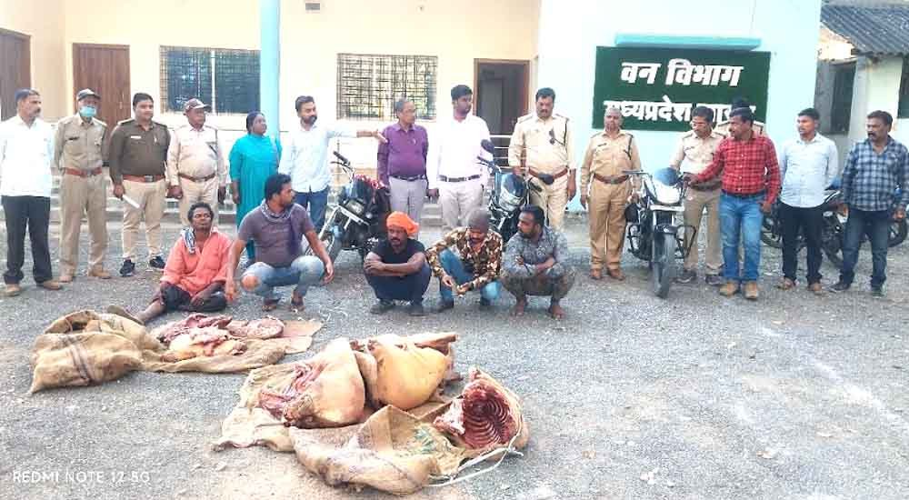 वन विभाग ने जब्त किया 243 किलो