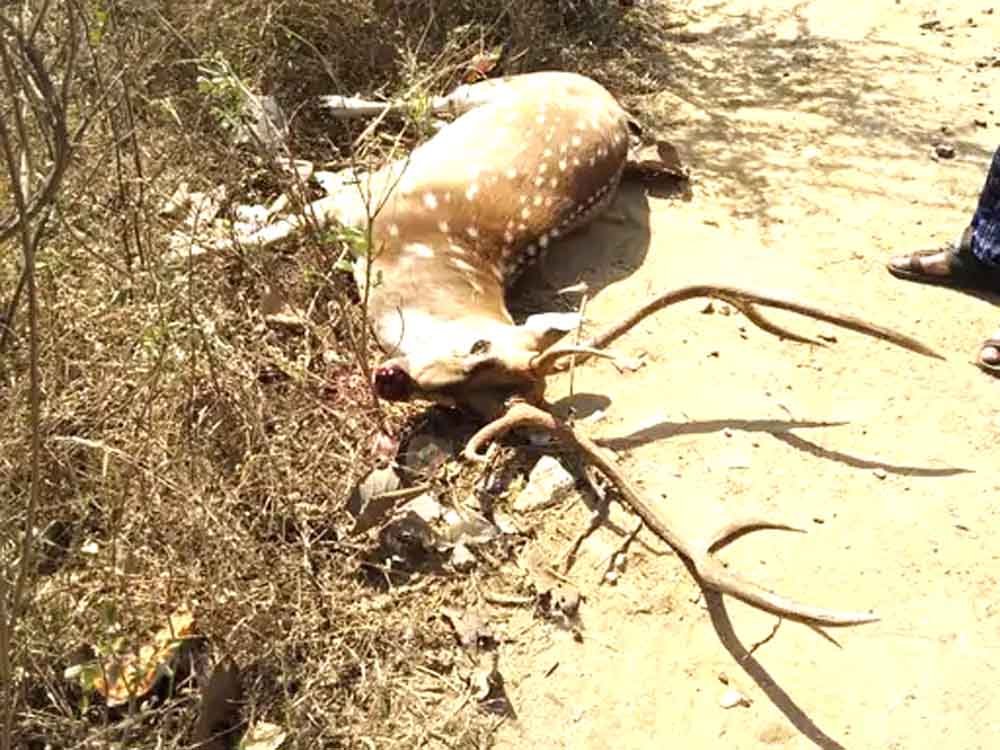 वाहन से टकराए