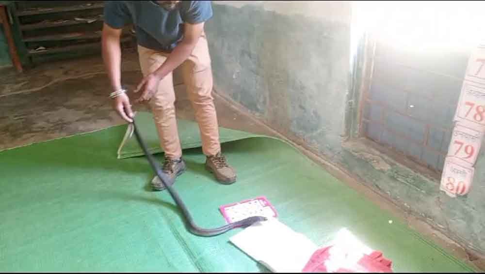 स्कूल में निकला 5 फीट का