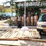 सागौन तस्करी करते एक