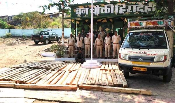 सागौन तस्करी करते एक