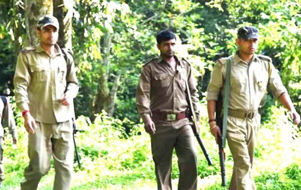 मध्य प्रदेश में वन अधिकारियों