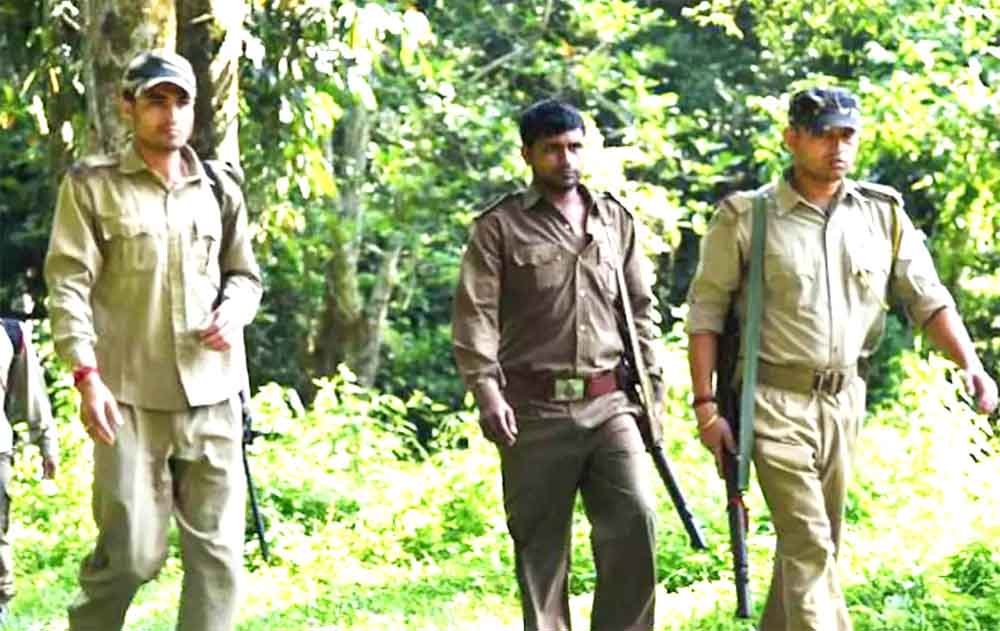 मध्य प्रदेश में वन अधिकारियों