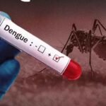 डेंगू के बढ़ते मामलों पर WHO की