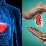 मछली का पित्त खाने से डैमेज हुए