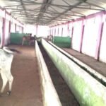 भूख और बीमारी से