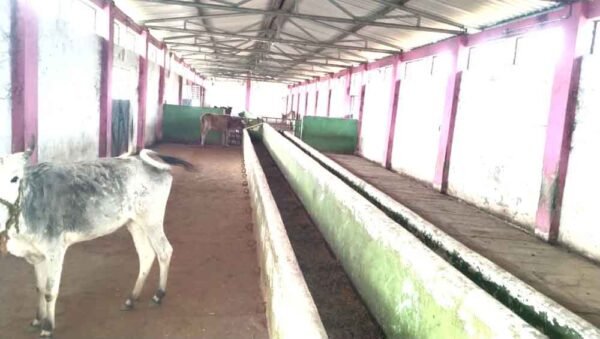 भूख और बीमारी से