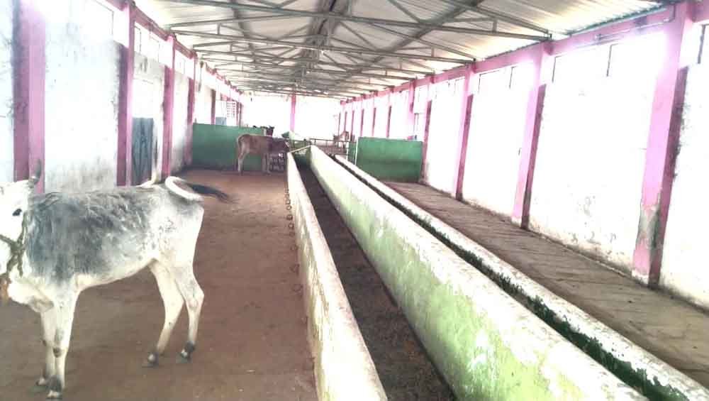 भूख और बीमारी से