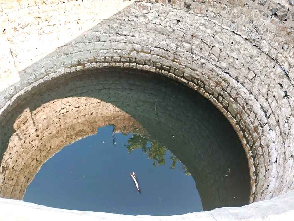 दूषित पानी पीने