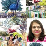 हवाई जहाज के साथ