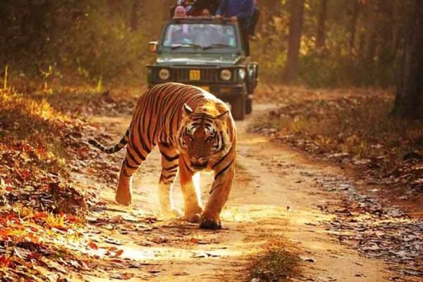 प्रदेश को