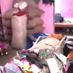 कनारा में लाखों