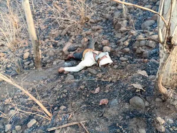 जंगल में मिला