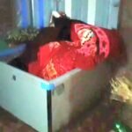 गायत्री नगर में